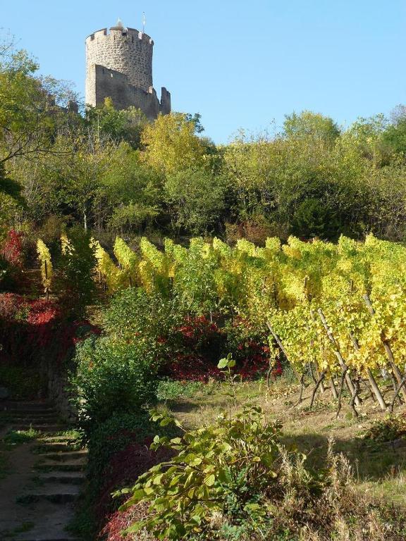 Hotel Les Remparts Kaysersberg-Vignoble Ngoại thất bức ảnh