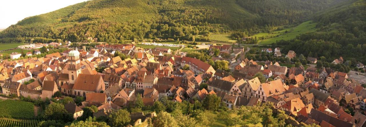 Hotel Les Remparts Kaysersberg-Vignoble Ngoại thất bức ảnh