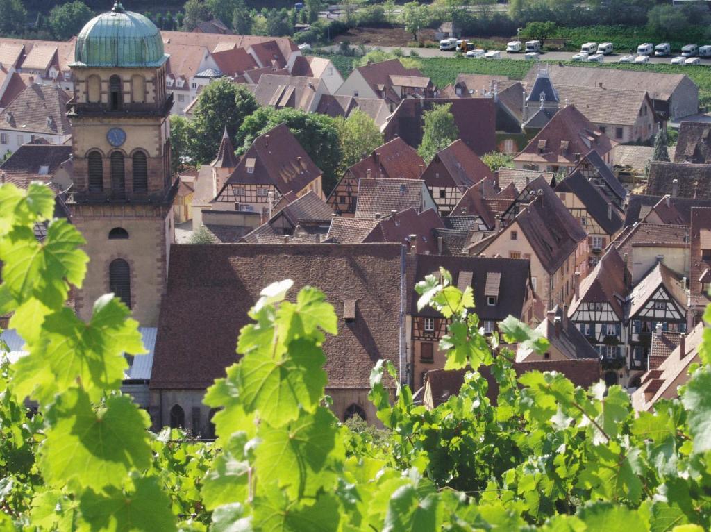 Hotel Les Remparts Kaysersberg-Vignoble Ngoại thất bức ảnh